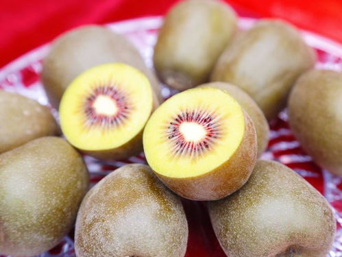 塬生就是好，消费扶贫e起来——陕西猕猴桃探访渭南临渭区销售纪实