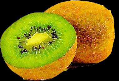 鲜果飘香长城镇，猕猴桃采摘销售正当时