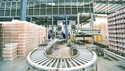 万盛加快农业农村现代化 以猕猴桃销售推动乡村全面振兴